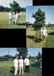 Page 56 Stauffacher Families Album
